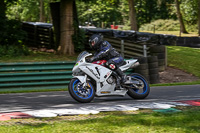 cadwell-no-limits-trackday;cadwell-park;cadwell-park-photographs;cadwell-trackday-photographs;enduro-digital-images;event-digital-images;eventdigitalimages;no-limits-trackdays;peter-wileman-photography;racing-digital-images;trackday-digital-images;trackday-photos